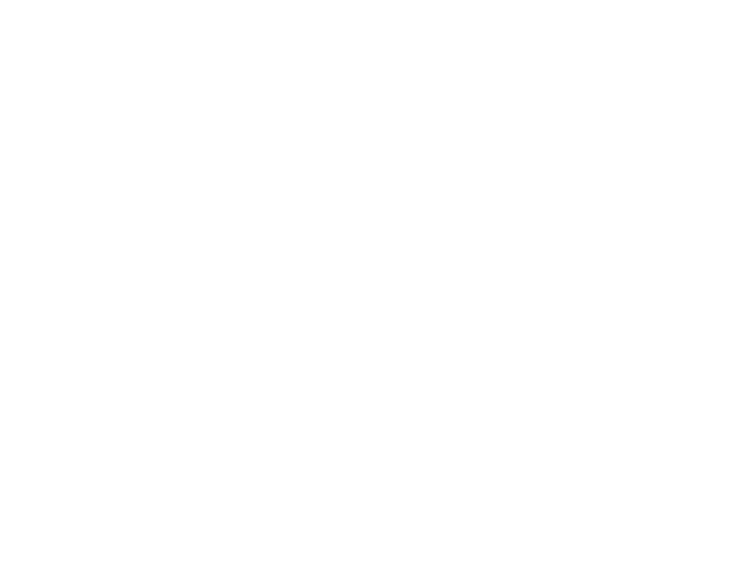 EVIS Abu Dhabi